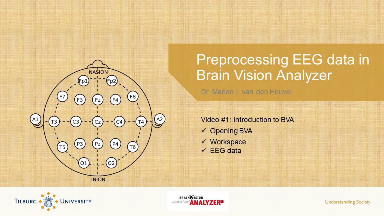 brain vision analyzer 2 manual